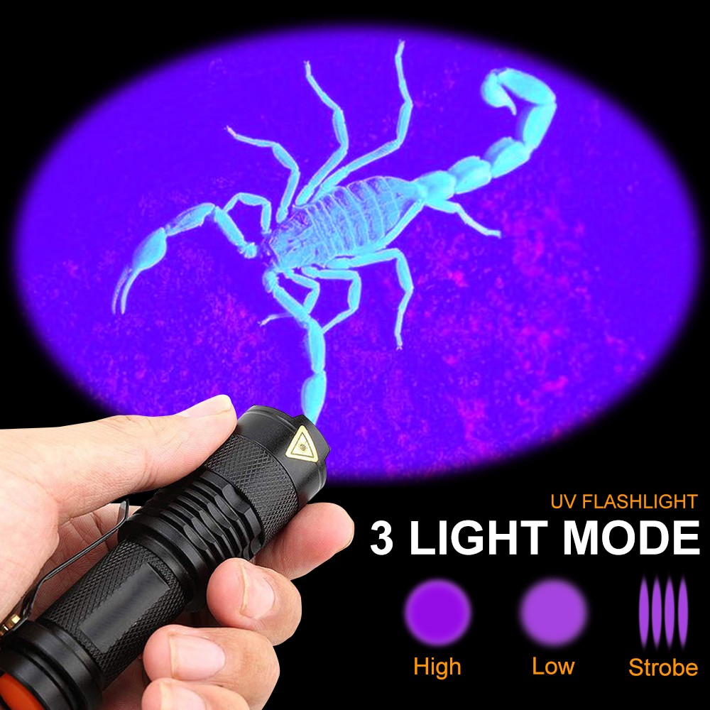UV LED Rechargeable Flashlight/Torch (EO45)