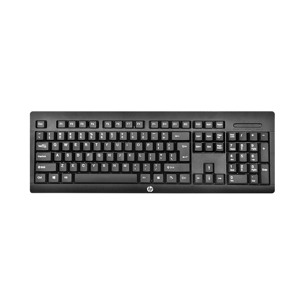 HP Basic Keyboard and Mouse Combo KM100