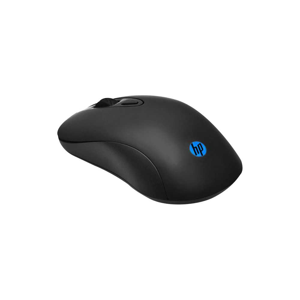 HP Basic Keyboard and Mouse Combo KM100