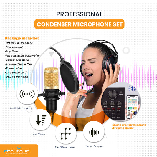 PROFESSIONAL CONDENSER MICROPHONE SET