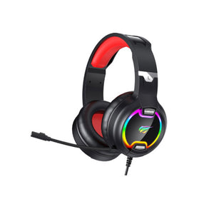 HAVIT Gaming Headphone Headset for Computer Laptop PC (HAV2233DBLK)