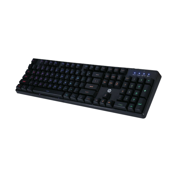 HP Basic Keyboard K300